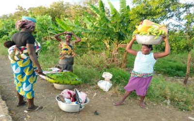 Réduction de la faim et de la pauvreté chez les femmes rurales au Togo : L’accès à la terre, facteur essentiel